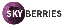 SKYBERRIES Academy Logo